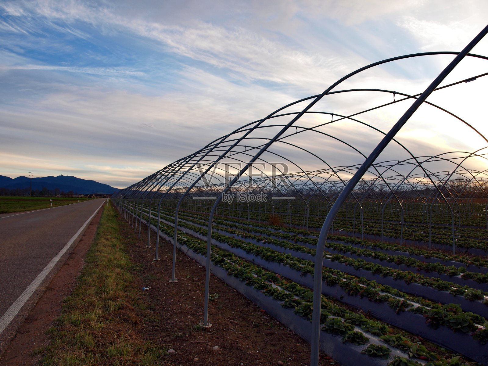 温室外的天空下有漂亮的云彩照片摄影图片