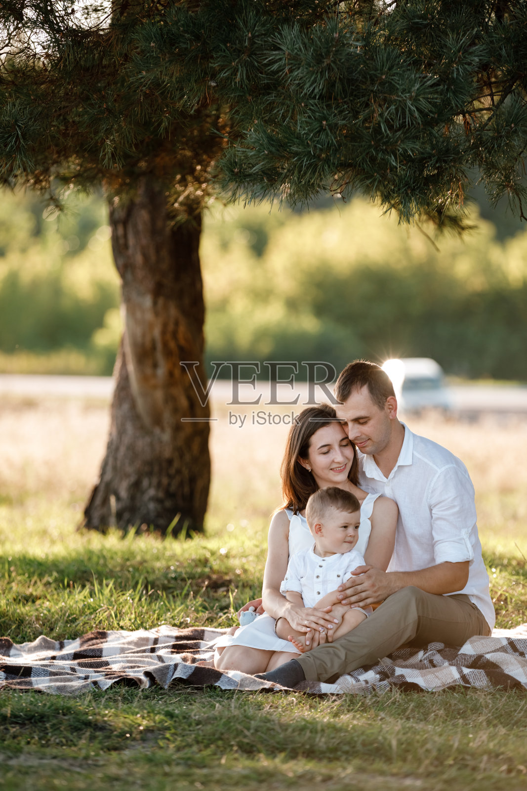 幸福的家庭，妈妈，爸爸和宝宝，儿子快乐的自然花时间一起在夏天阳光明媚的日子。户外度假的概念。快乐的童年。照片摄影图片