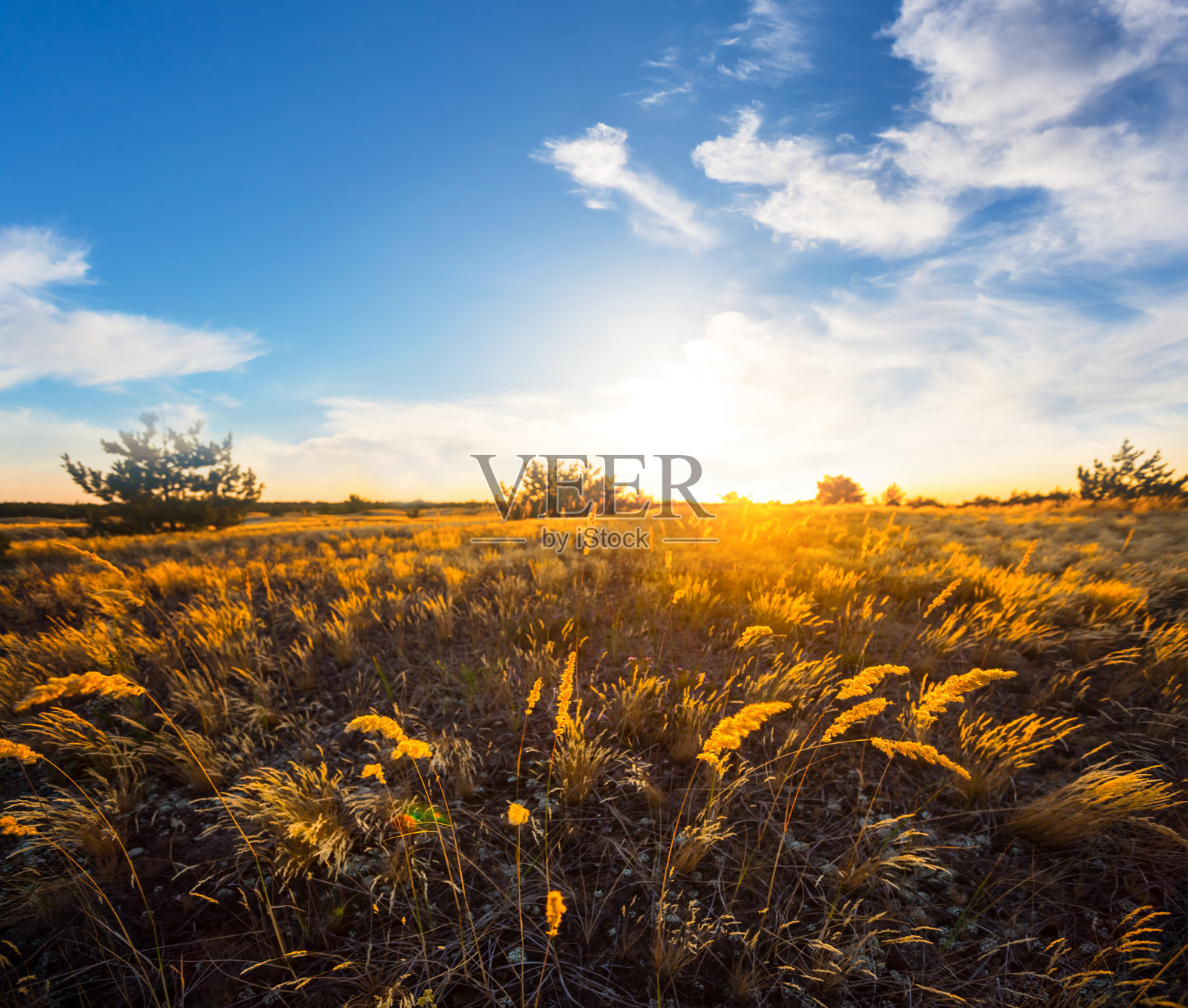 美丽宽阔的夏日草原在戏剧性的日落照片摄影图片