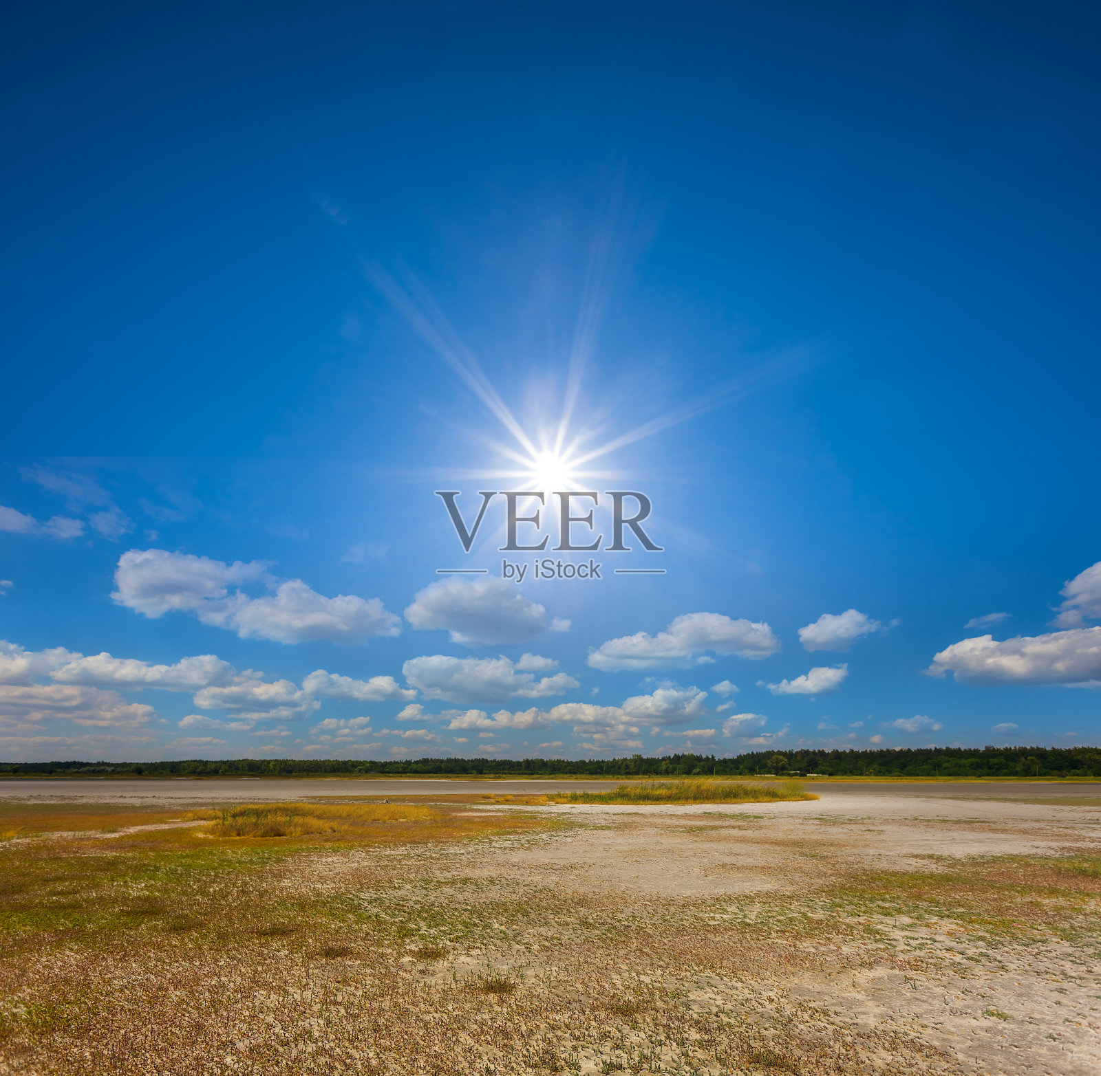 炎热的夏天，干燥的盐碱地照片摄影图片