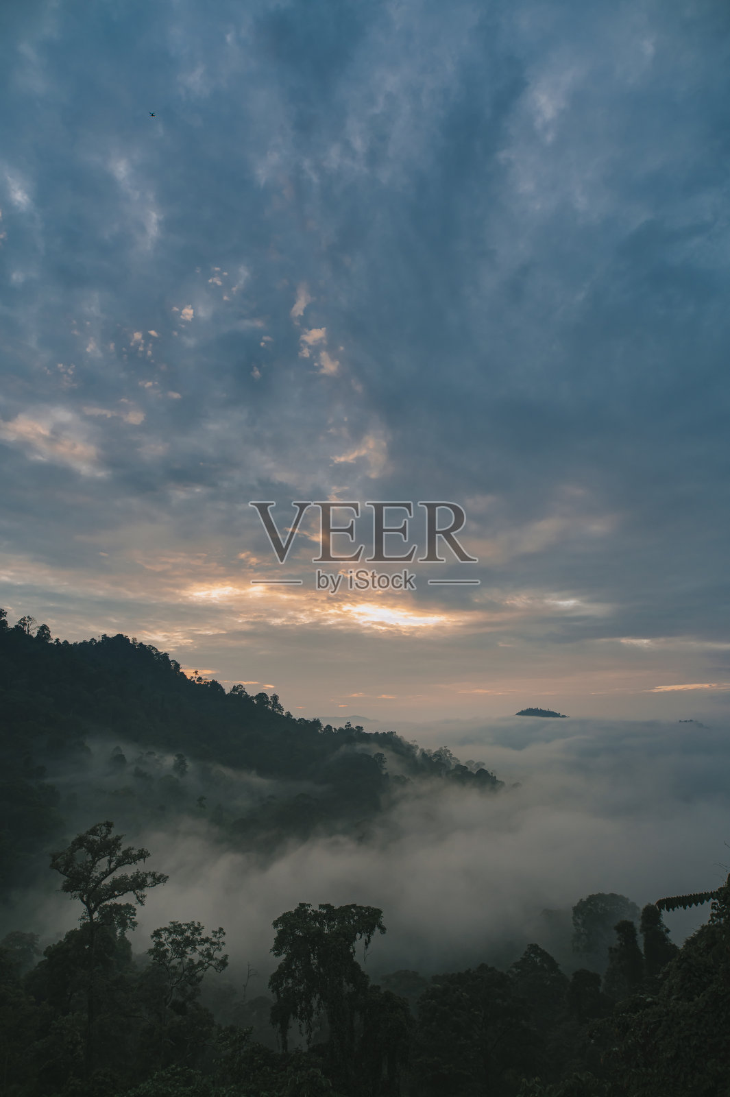 彭亨州卡梅伦高地的日出云海景观森林山清晨照片摄影图片