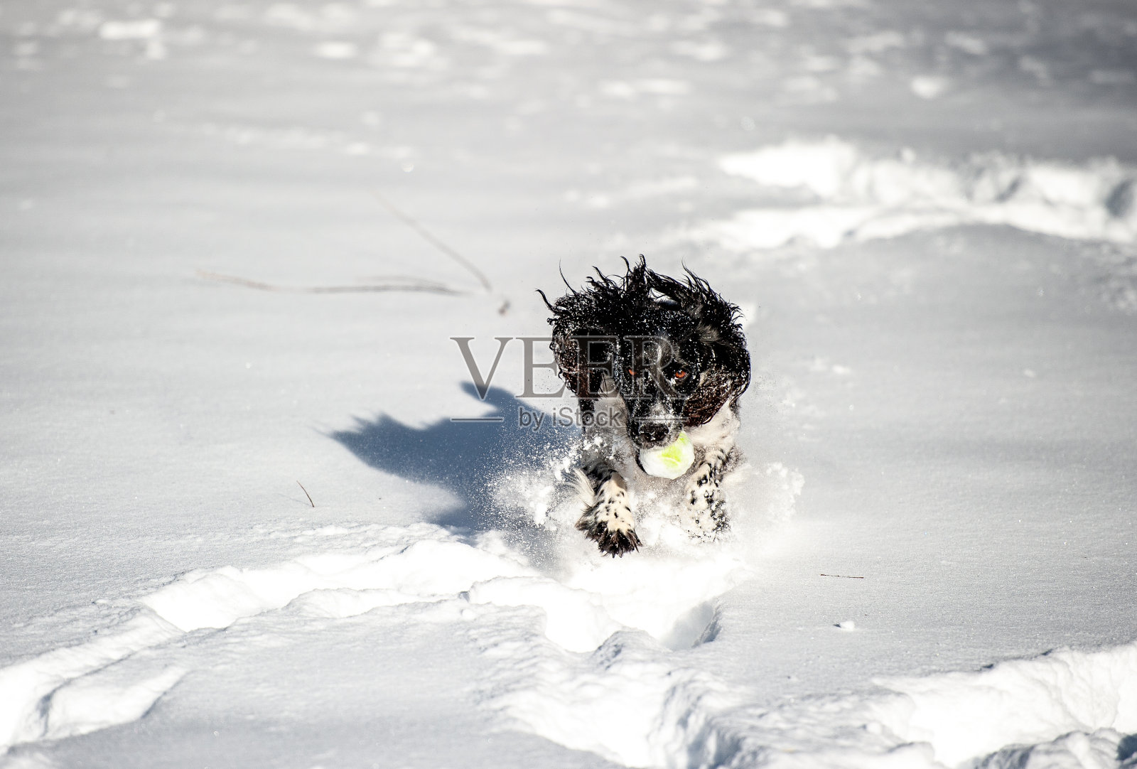 场英语溺爱照片摄影图片