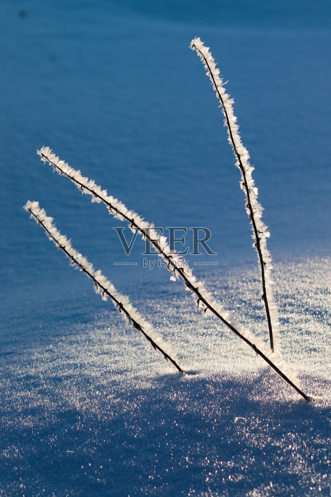 冬天冰雪场景照片摄影图片