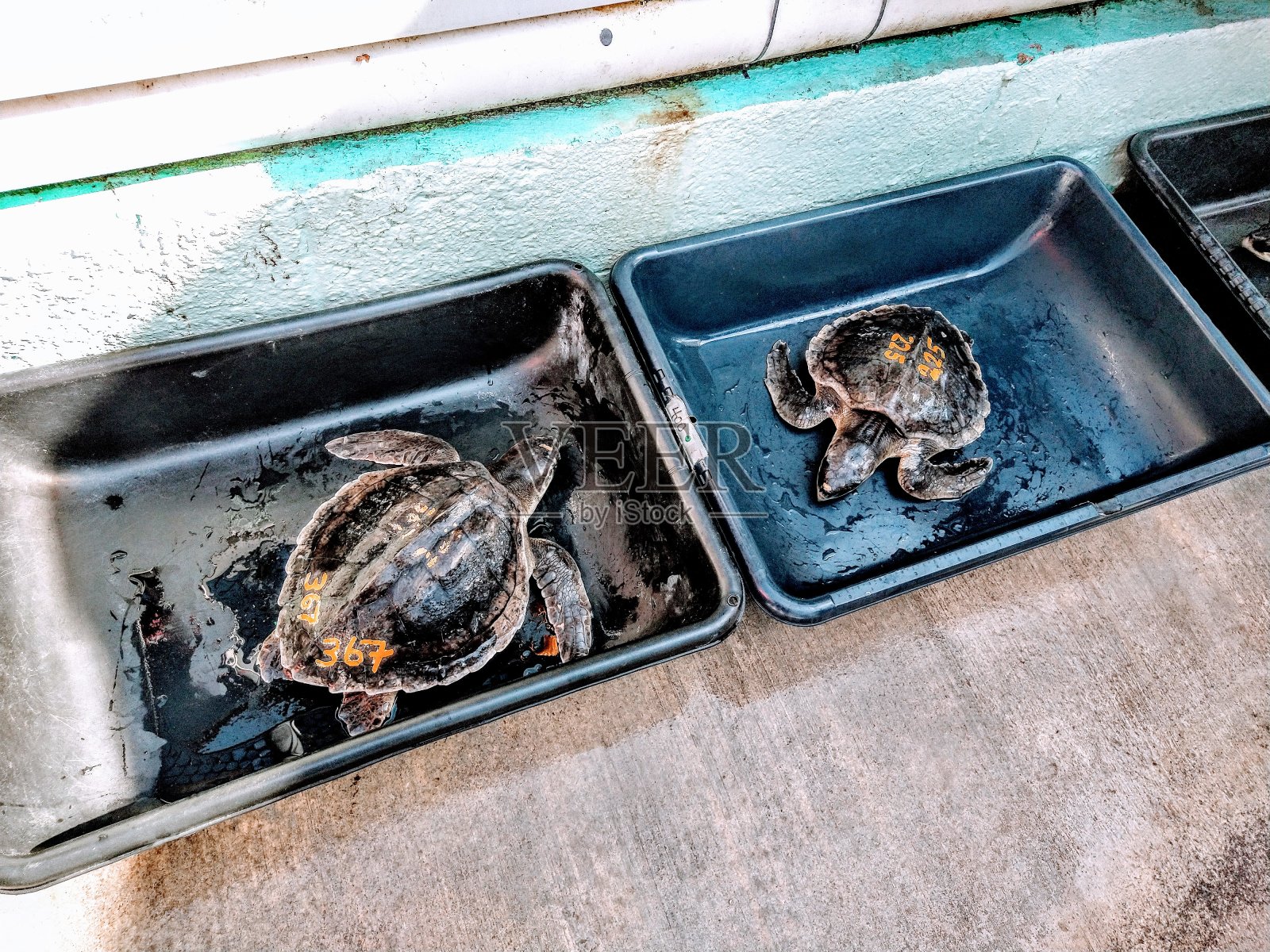 编号照片摄影图片