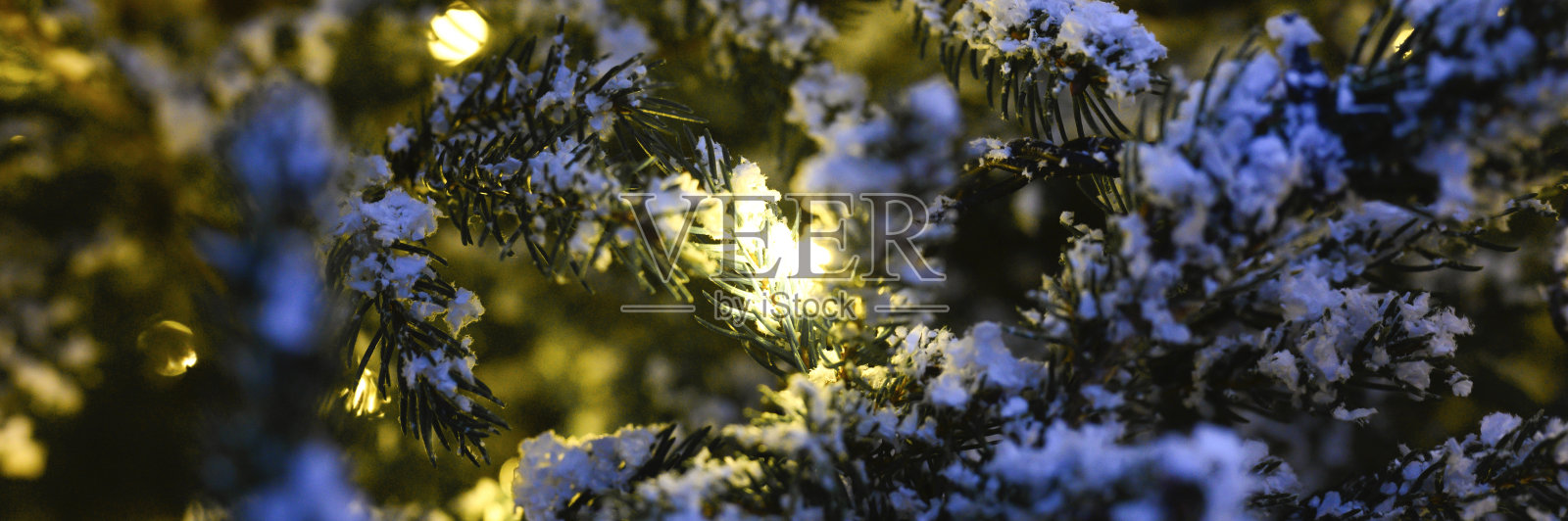 圣诞树的枝头在雪地里闪烁着金光闪闪的花环。横幅照片摄影图片