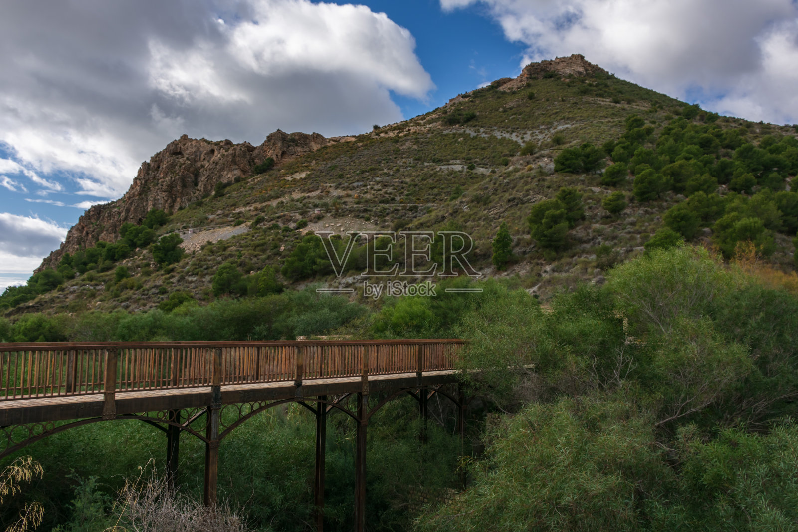 城郊公园铁桥照片摄影图片