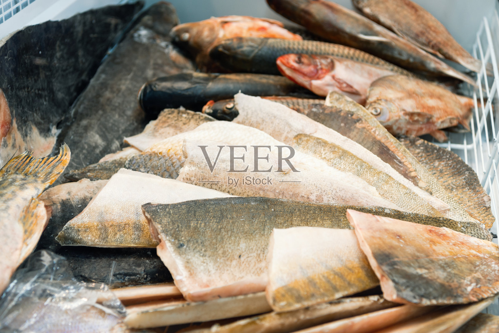 冰箱橱窗。冰箱里有各种各样的河鱼照片摄影图片