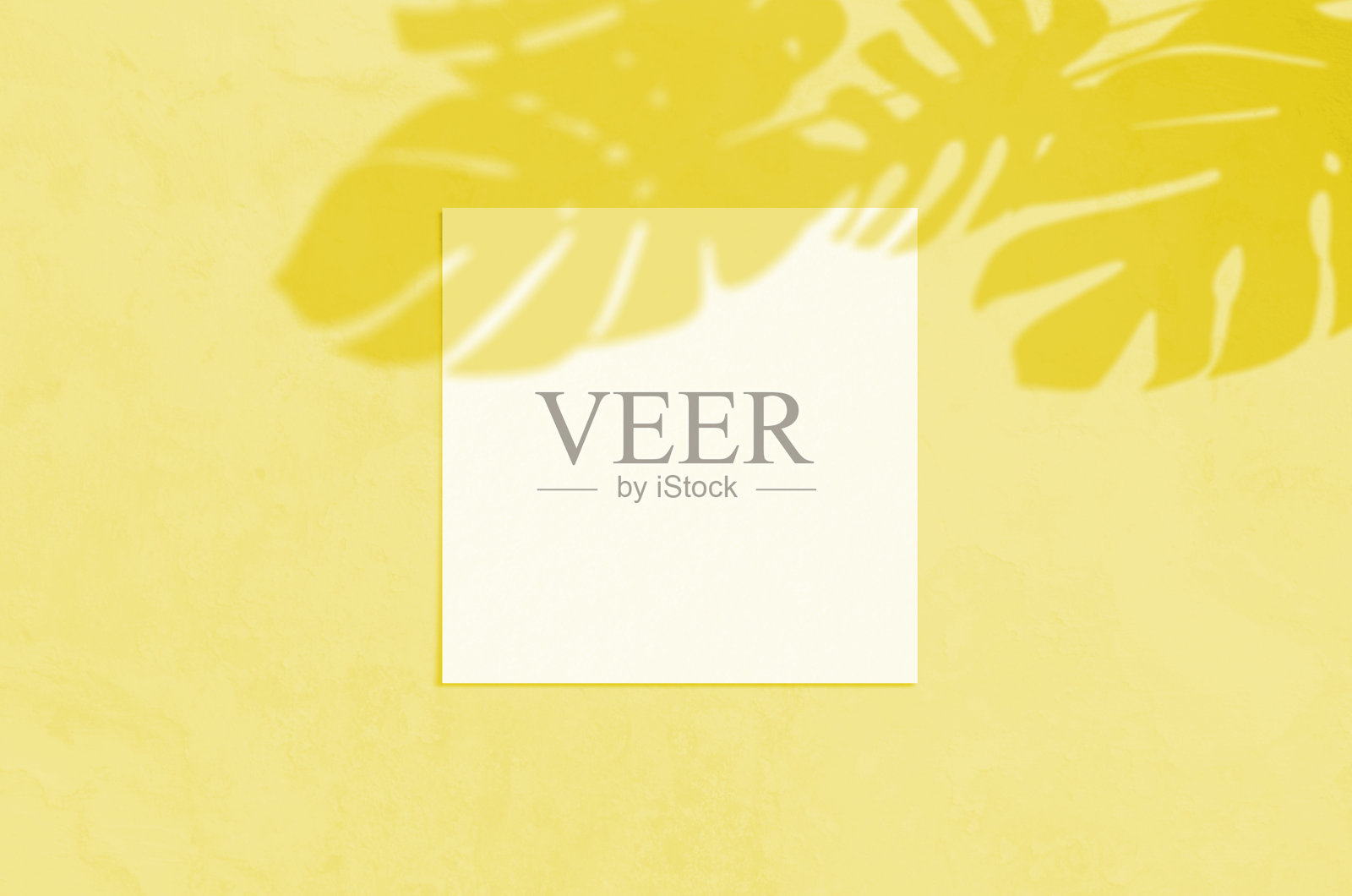 夏日阳光文具模型场景。照亮潘通的2021年色彩。平铺顶视图空白贺卡与阴影覆盖在垃圾混凝土背景照片摄影图片