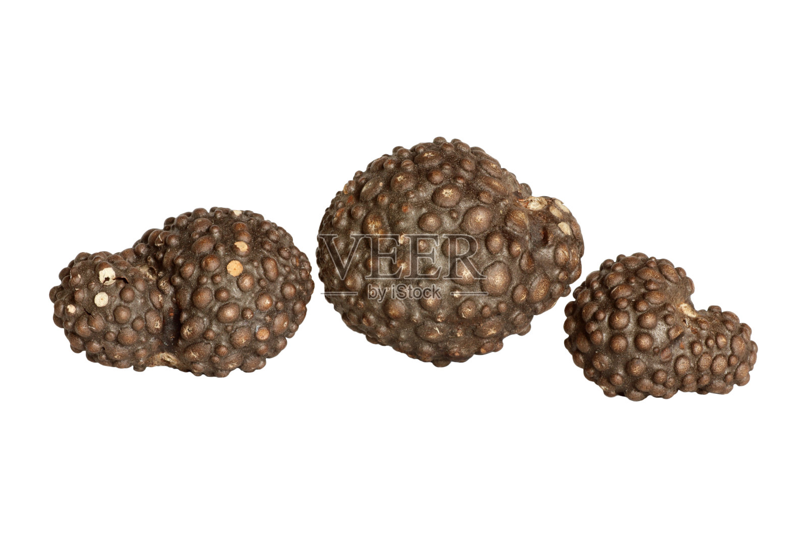 黄独在白色背景上分离照片摄影图片