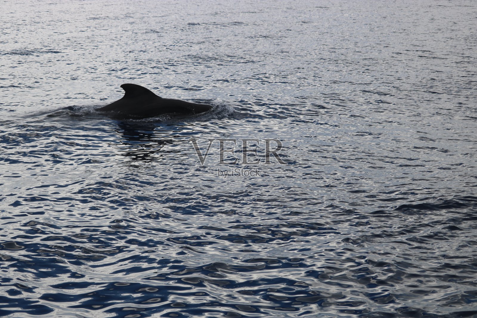 马尔代夫的双体船之旅照片摄影图片