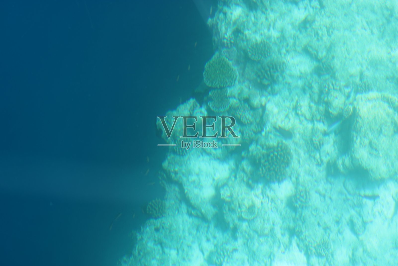 马尔代夫的玻璃炉船之旅照片摄影图片