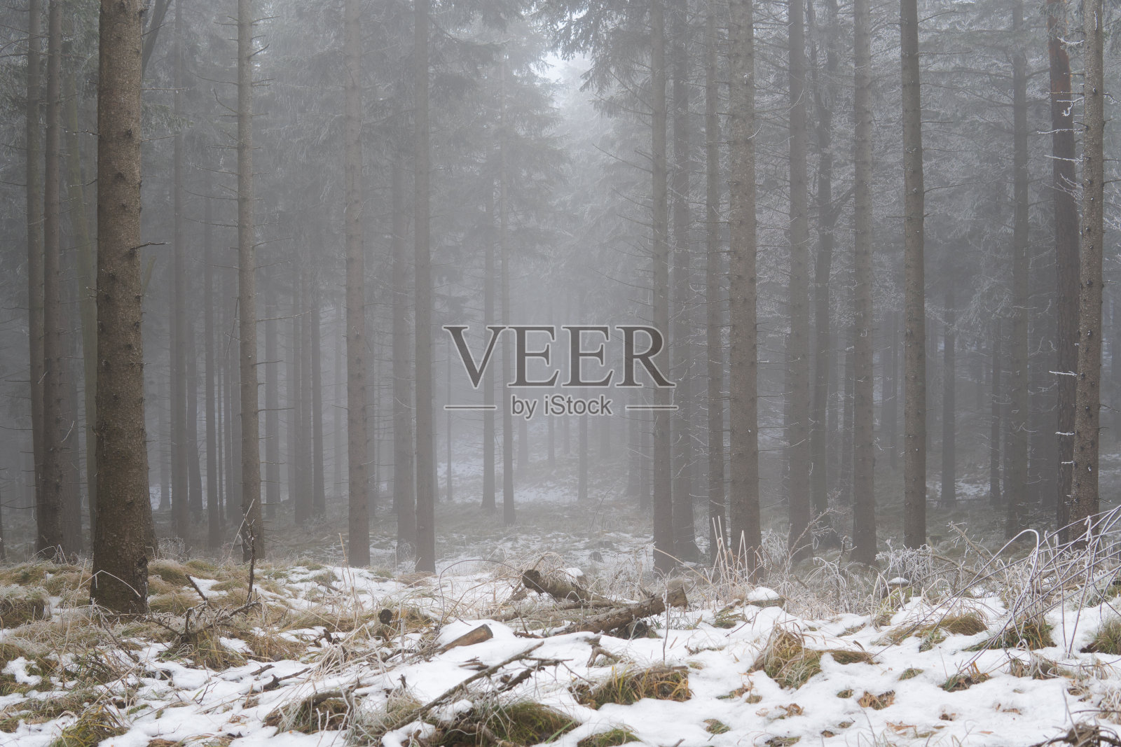 冬季森林和山景照片摄影图片