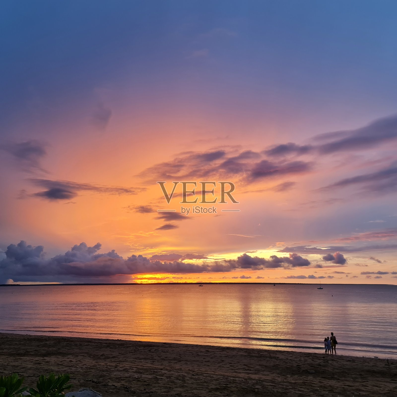 达尔文的颜色照片摄影图片