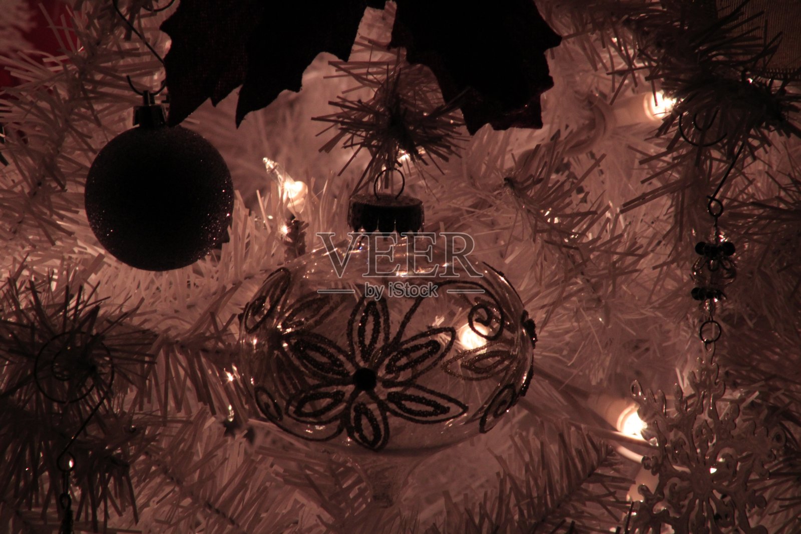 玻璃照片摄影图片