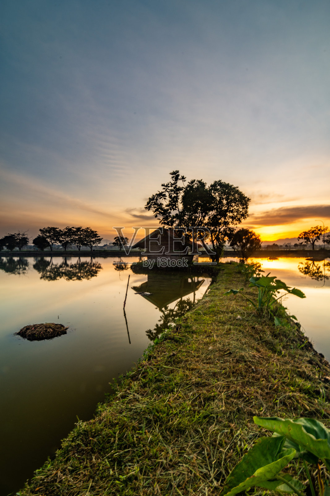 日出照片摄影图片