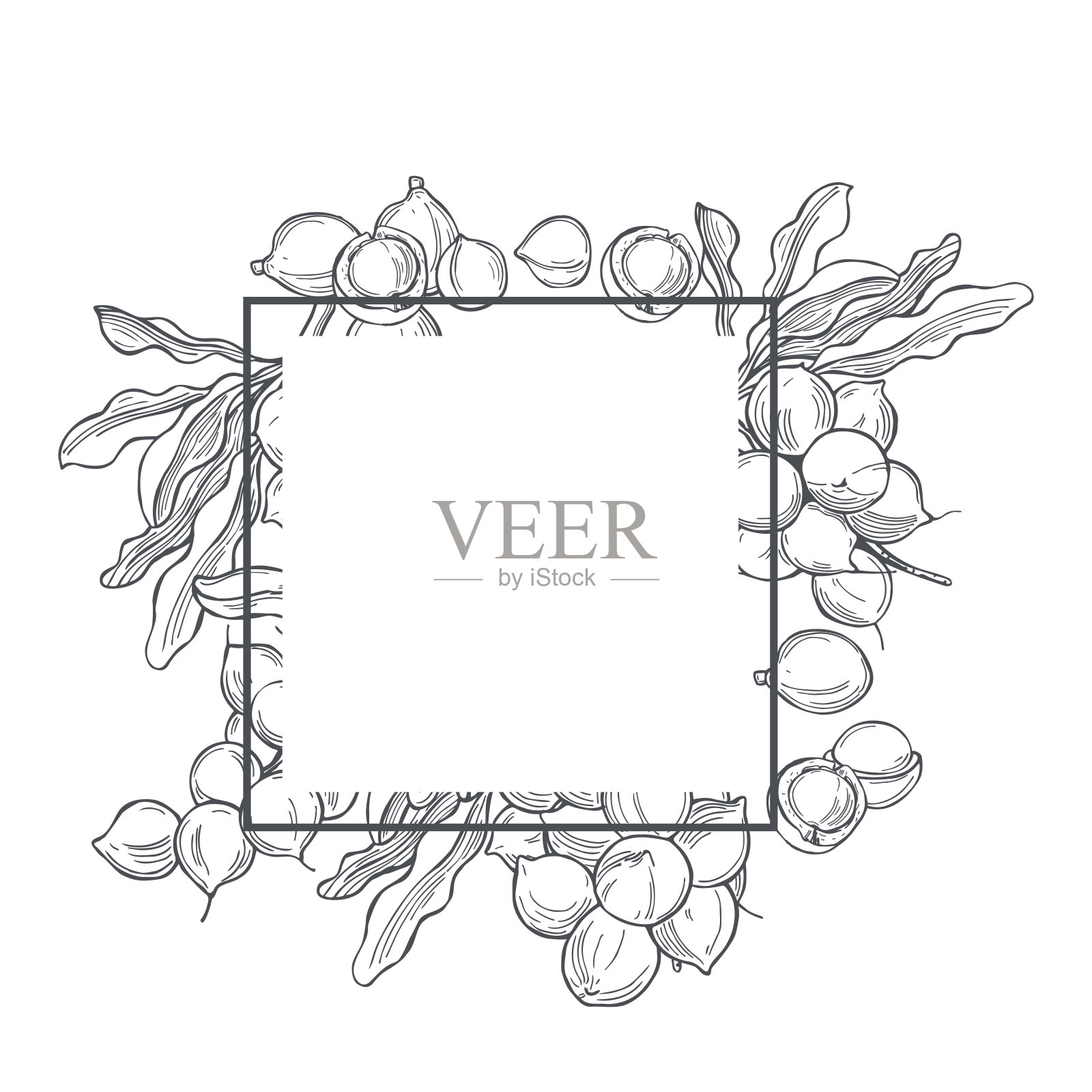 手绘澳洲。矢量框架。插画图片素材