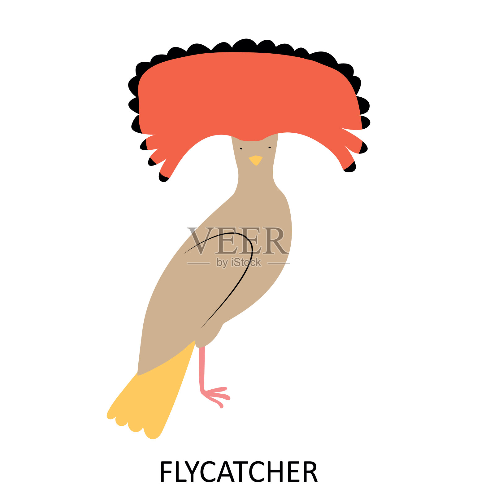 插图热带鸟类-亚马逊冠flycatcher。可爱的卡通人物插画图片素材