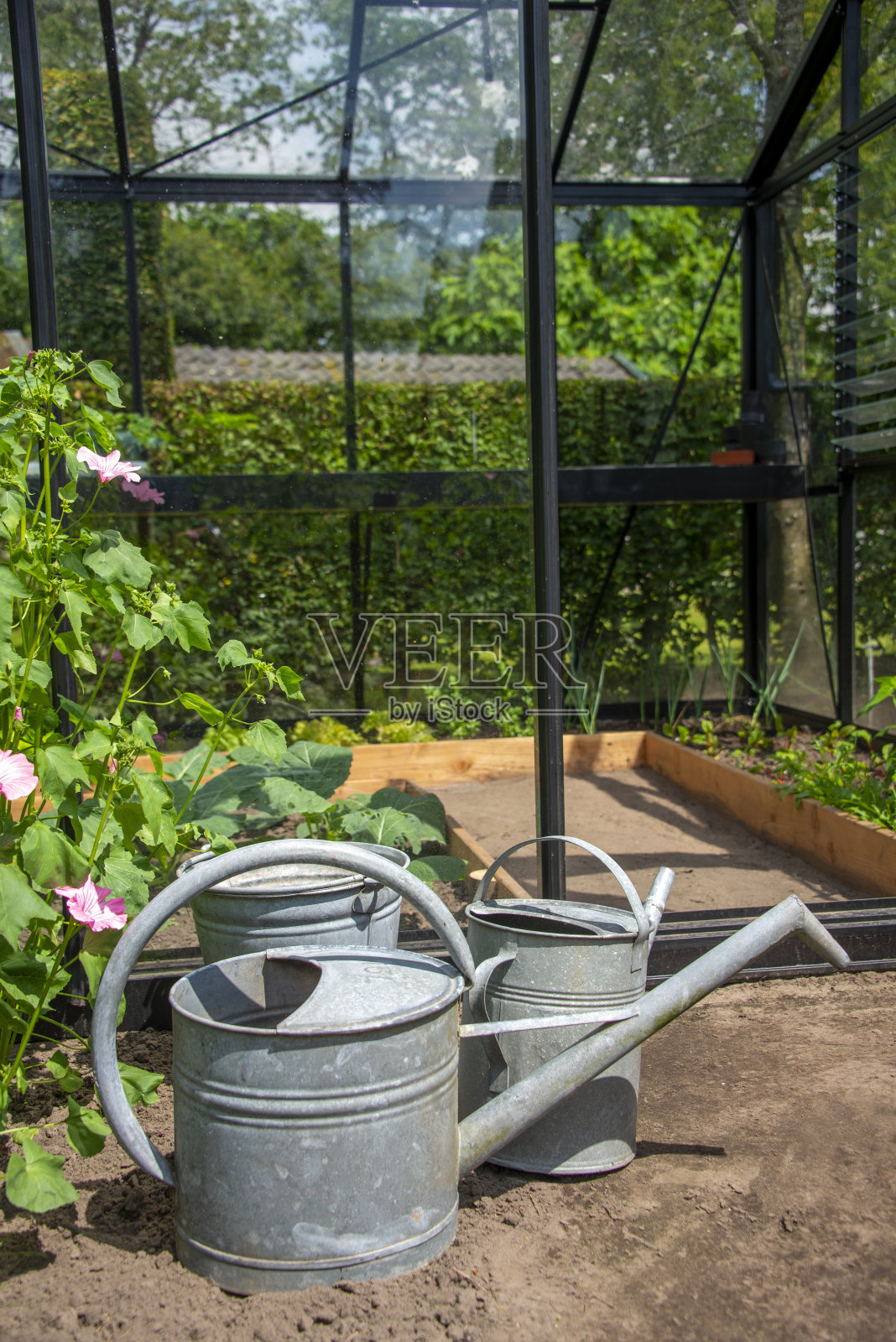 复古浇水罐照片摄影图片