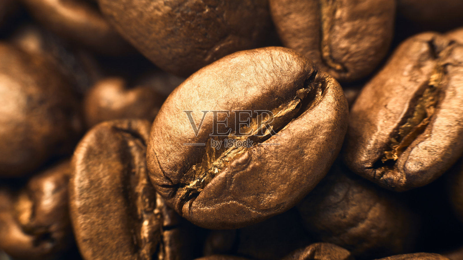 近距离观察咖啡豆照片摄影图片