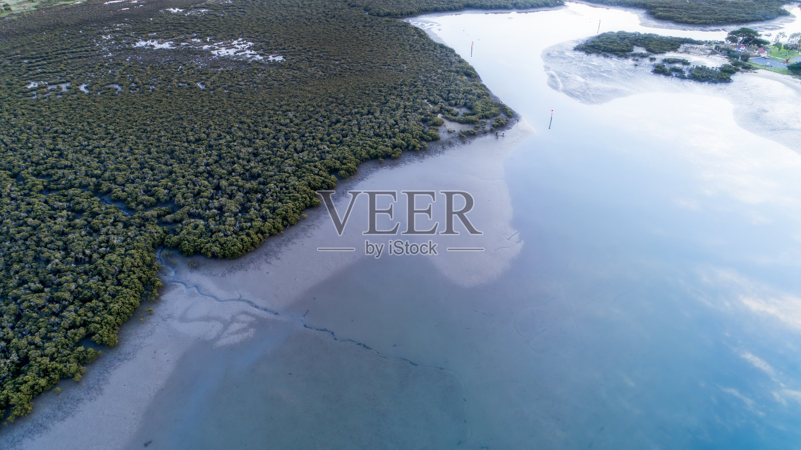 Tooradin红树林照片摄影图片