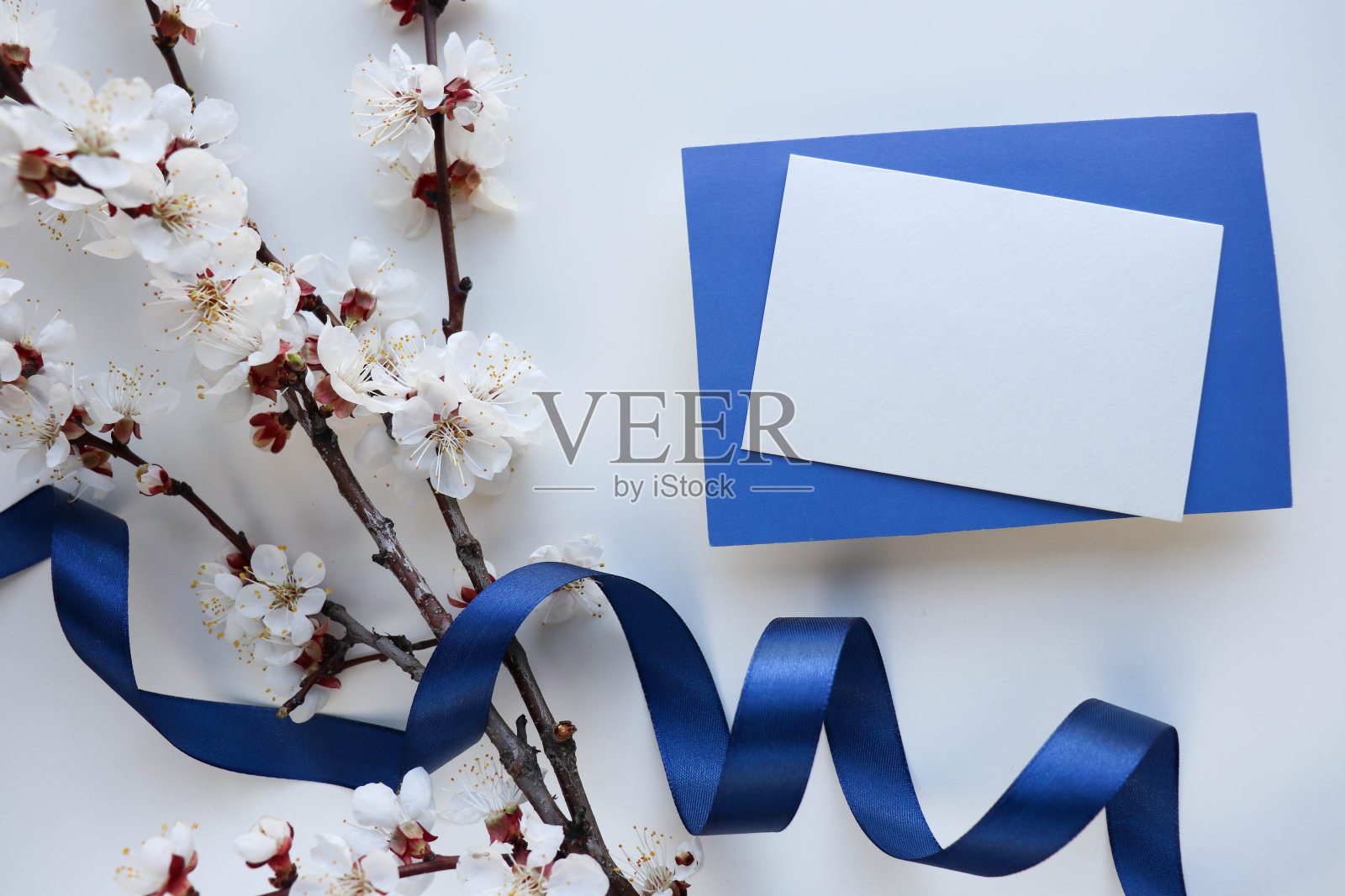 明信片的布局。春天的作文。花的框架照片摄影图片