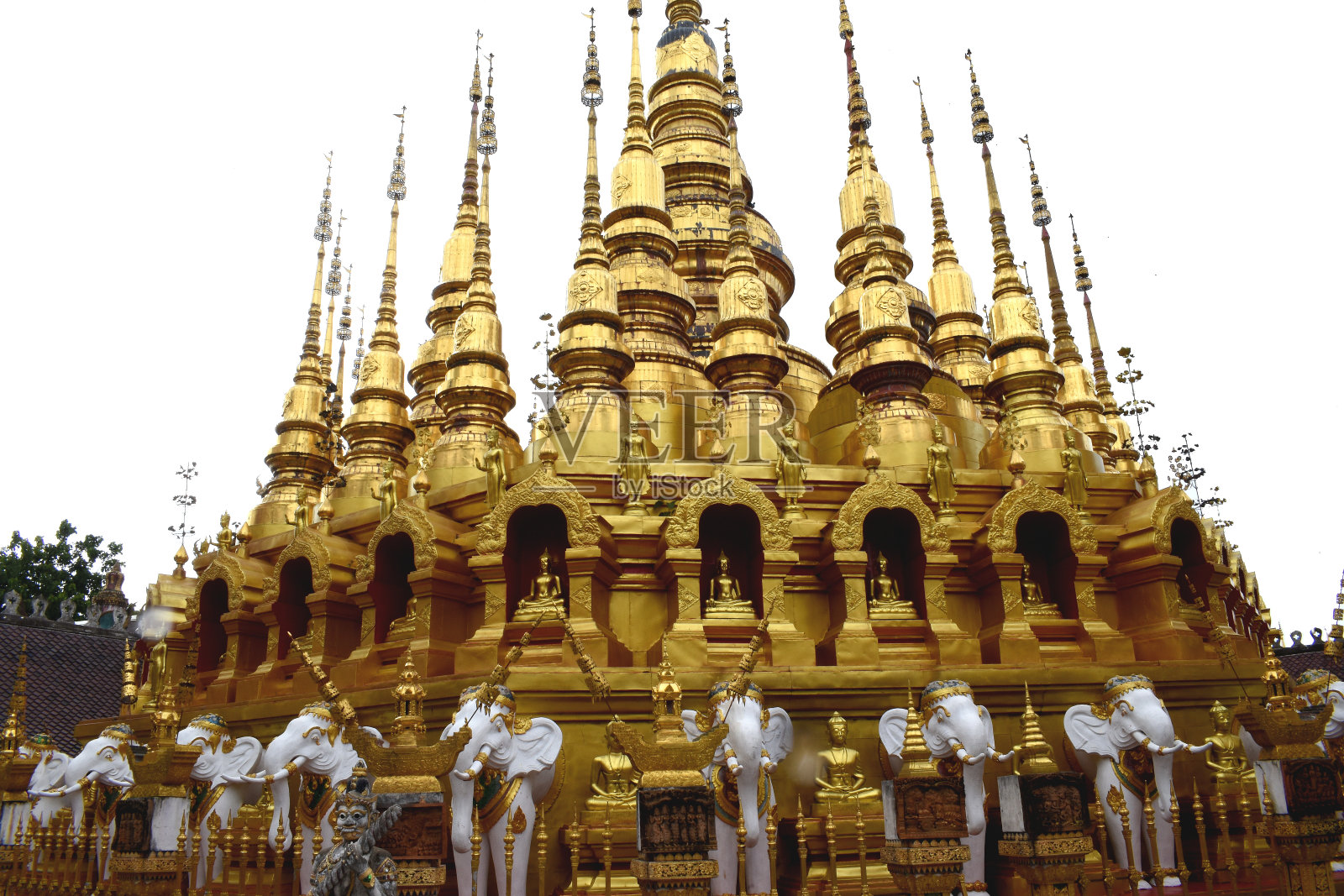 帕格达斯，泰国苏松甘花香的家乡照片摄影图片