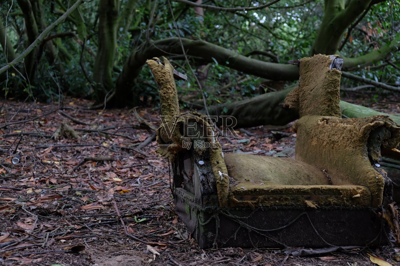 被遗忘的照片摄影图片