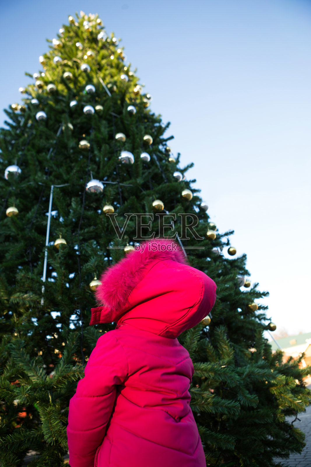 一个穿着粉色连帽夹克的女孩抬头看着街上一棵高大的圣诞树，背对着画框。圣诞节，新年，装饰城市，准备过节照片摄影图片