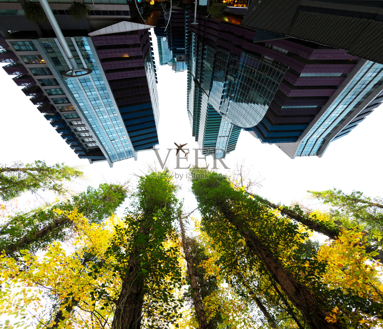 有飞机轮廓的摩天大楼和森林照片摄影图片