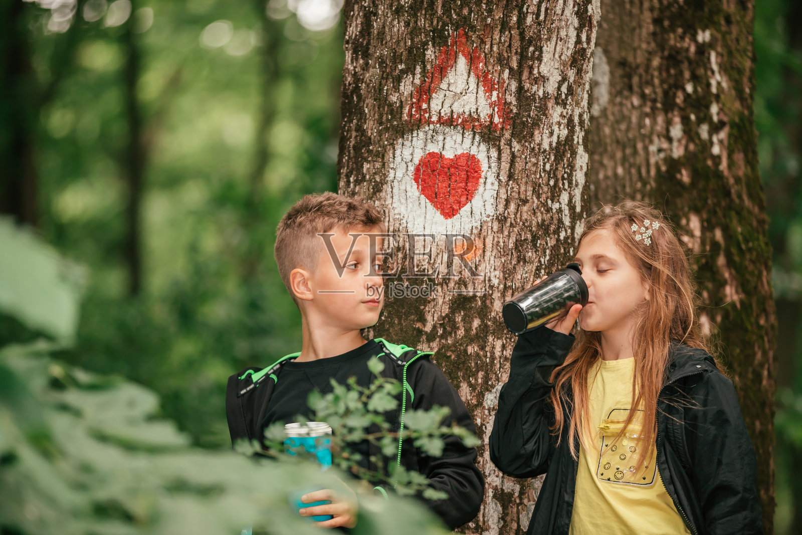 孩子们在森林里休息时用保温杯喝茶。照片摄影图片