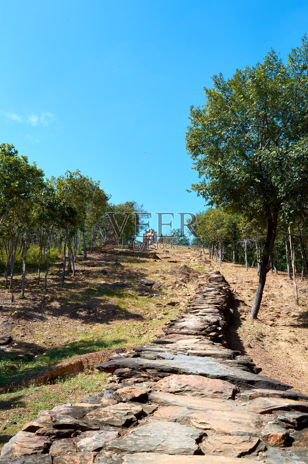 泰国素可泰，一个世界遗产地，位于西面Aranyawat或Pa Wat古城素可泰城墙外。照片摄影图片