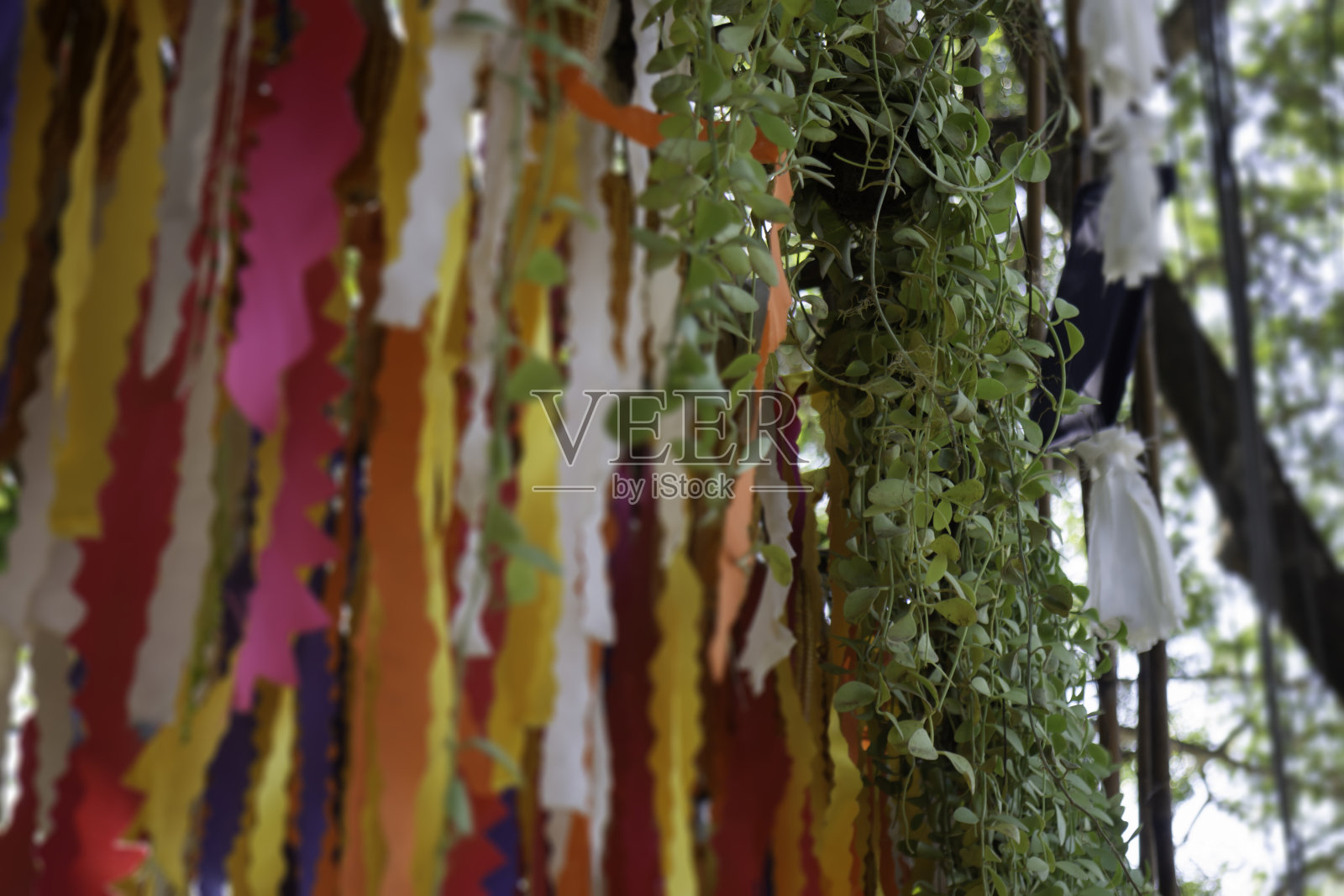 悬挂着五颜六色的布艺装饰在花园里照片摄影图片