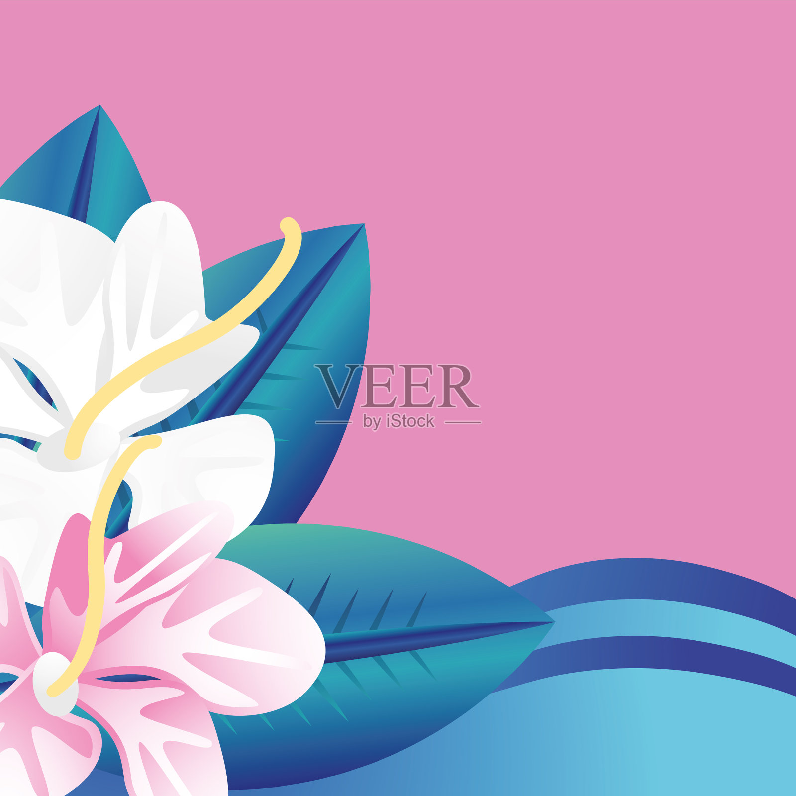 美丽的背景夏日鲜花模板设计模板素材