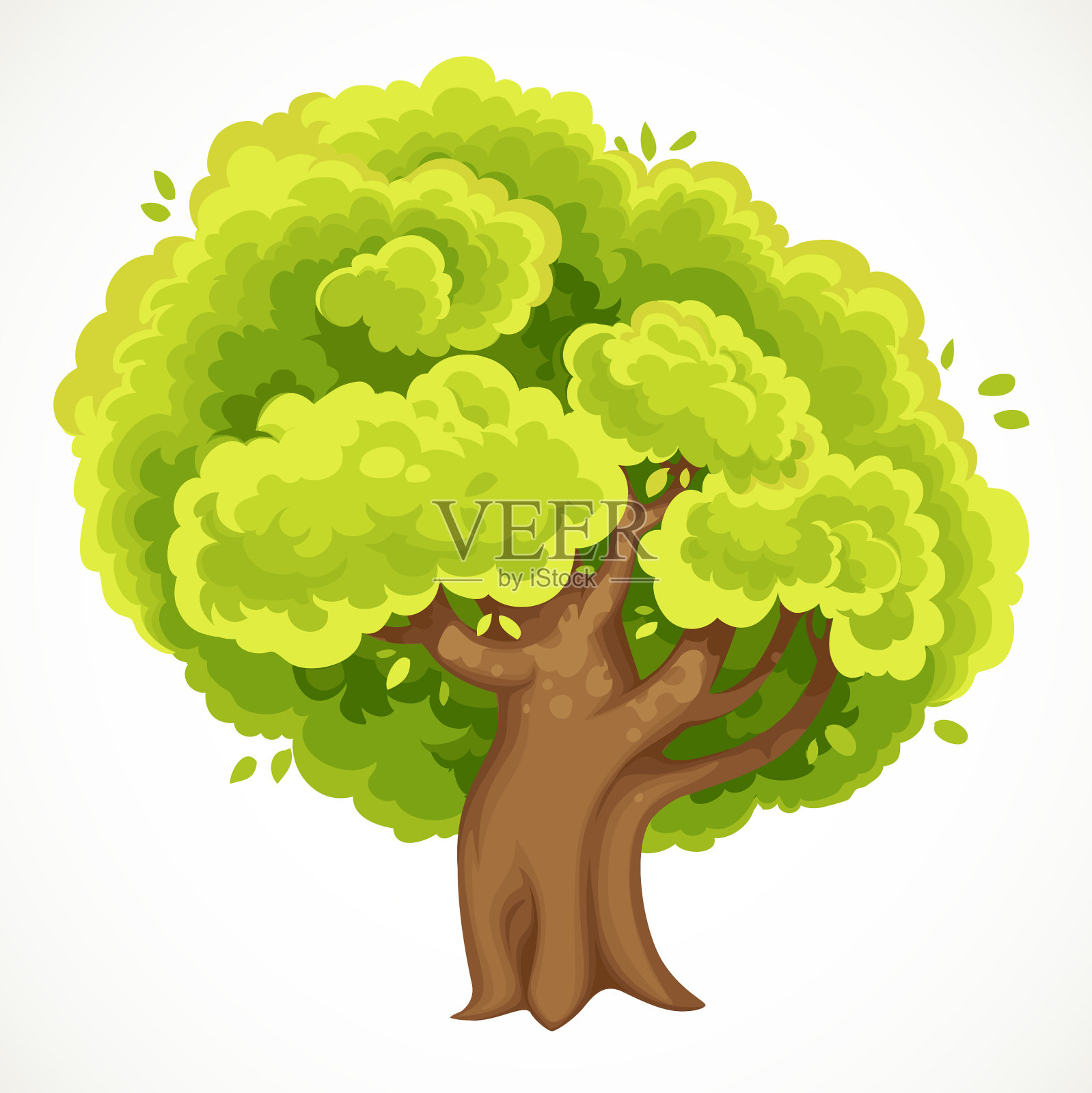 夏天的大树，枝叶茂盛插画图片素材