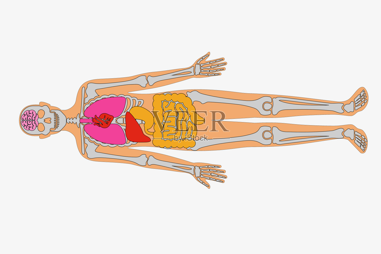 人类的图插画图片素材