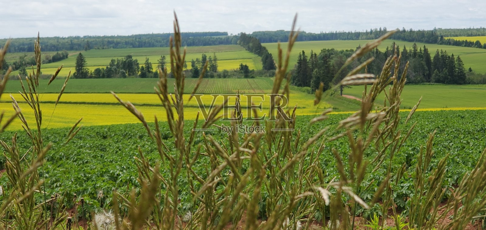 Lanscape风景照片摄影图片