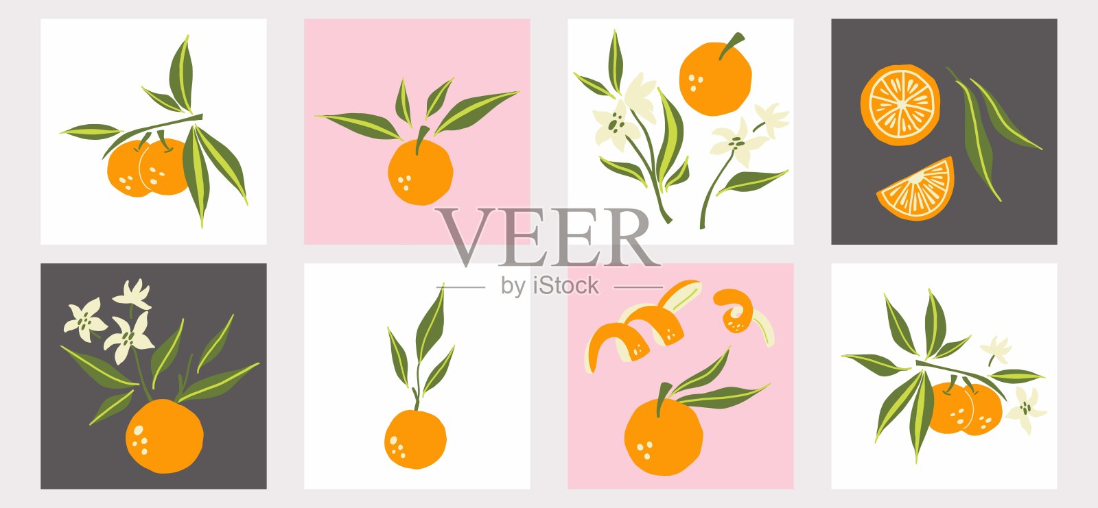 普通话的海报。奇异的热带柑橘类新鲜水果，整个多汁的橘子与绿叶和花，切片和橘皮，矢量卡通极简主义风格孤立插图插画图片素材