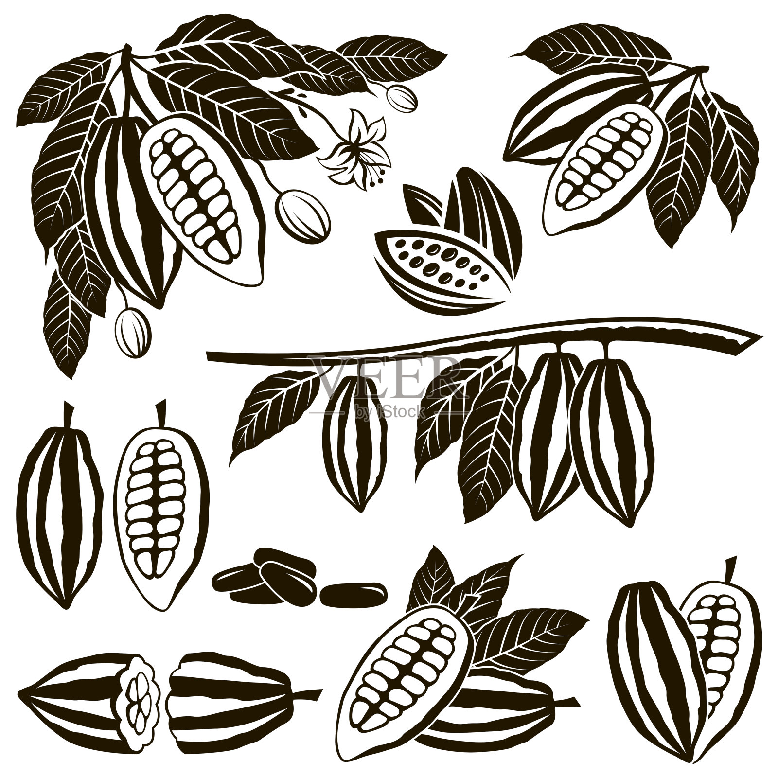 可可豆套装插画图片素材