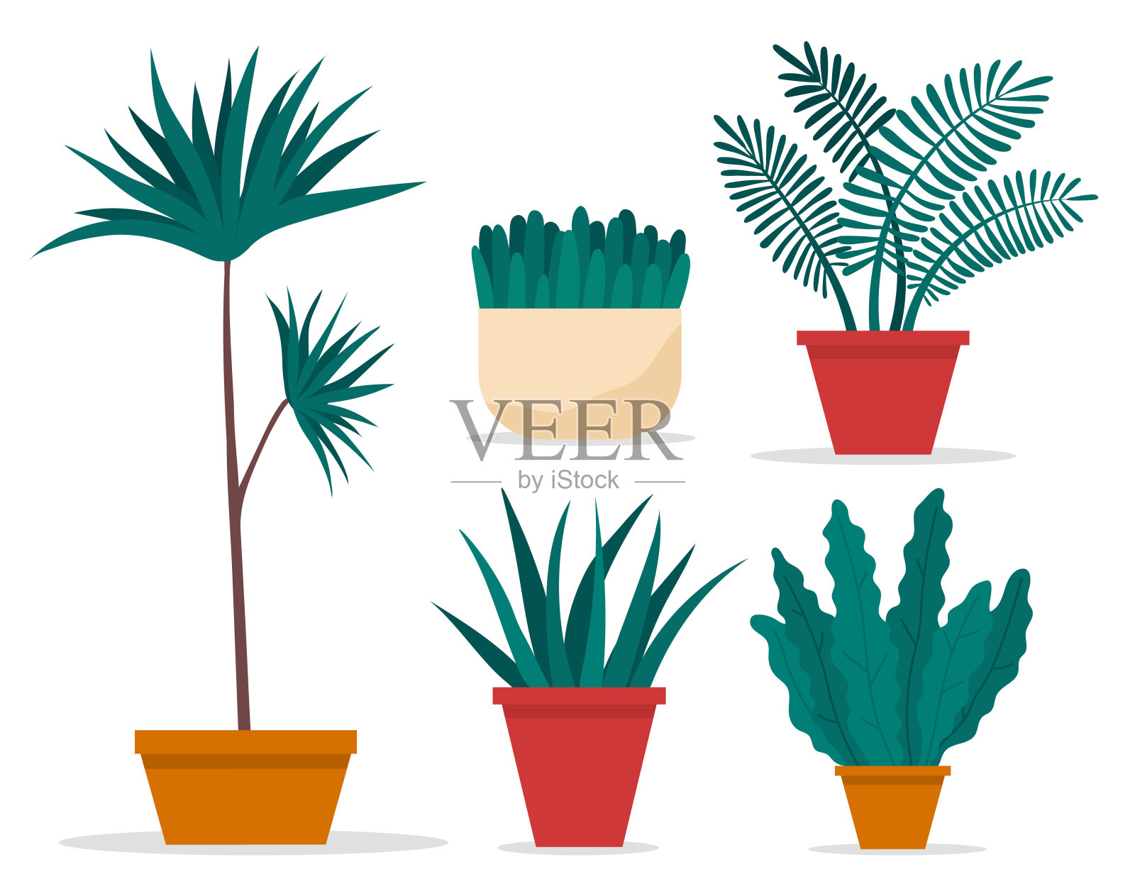 装饰集绿色长叶植物于陶瓷盆中，盆中有室内植物。家庭室内植物插画图片素材