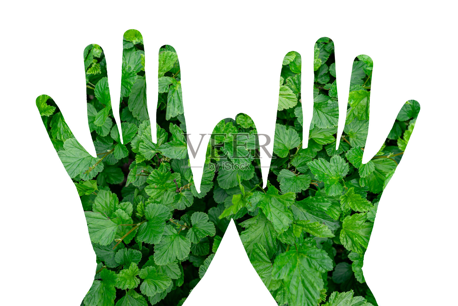 他手上的地球地图照片摄影图片