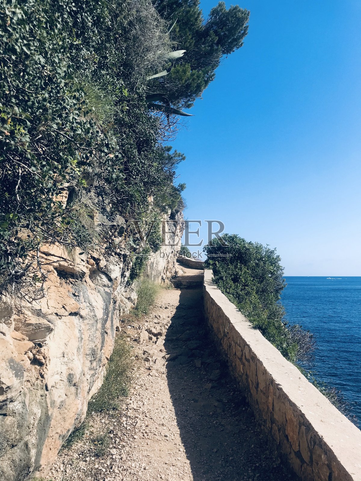 跟我来照片摄影图片