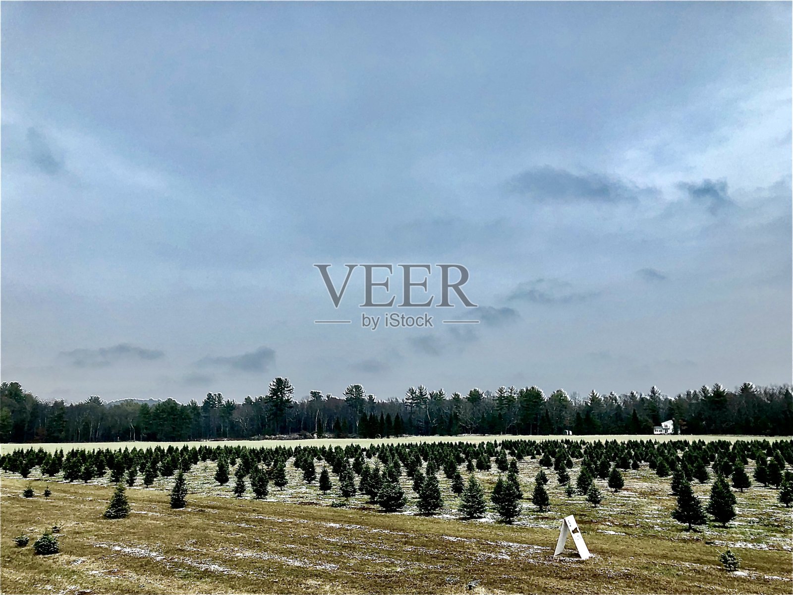 大自然的和平照片摄影图片