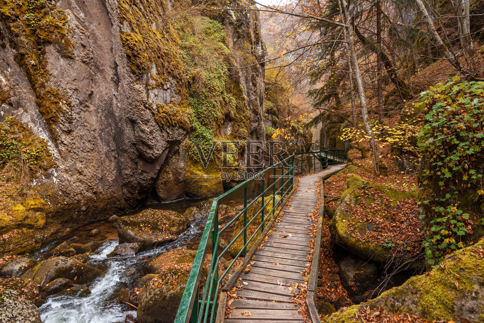 保加利亚德文斯卡河峡谷徒步旅行者的桥。照片摄影图片