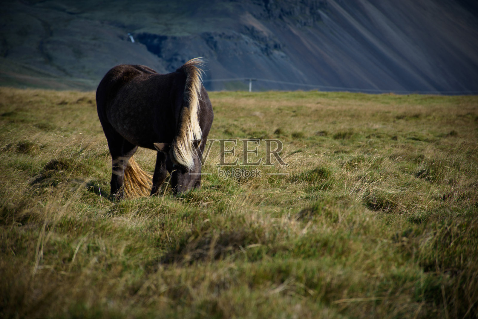 冰岛照片摄影图片
