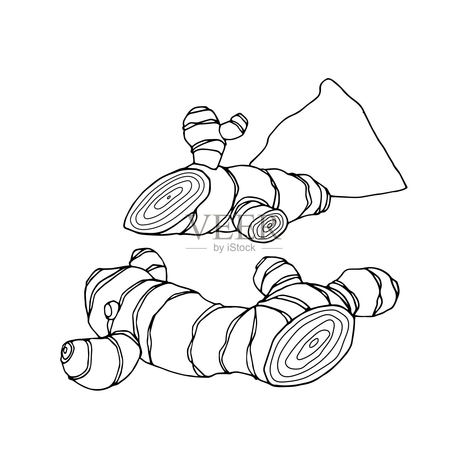 鲜姜或姜黄根与粉末，烹饪香料插画图片素材