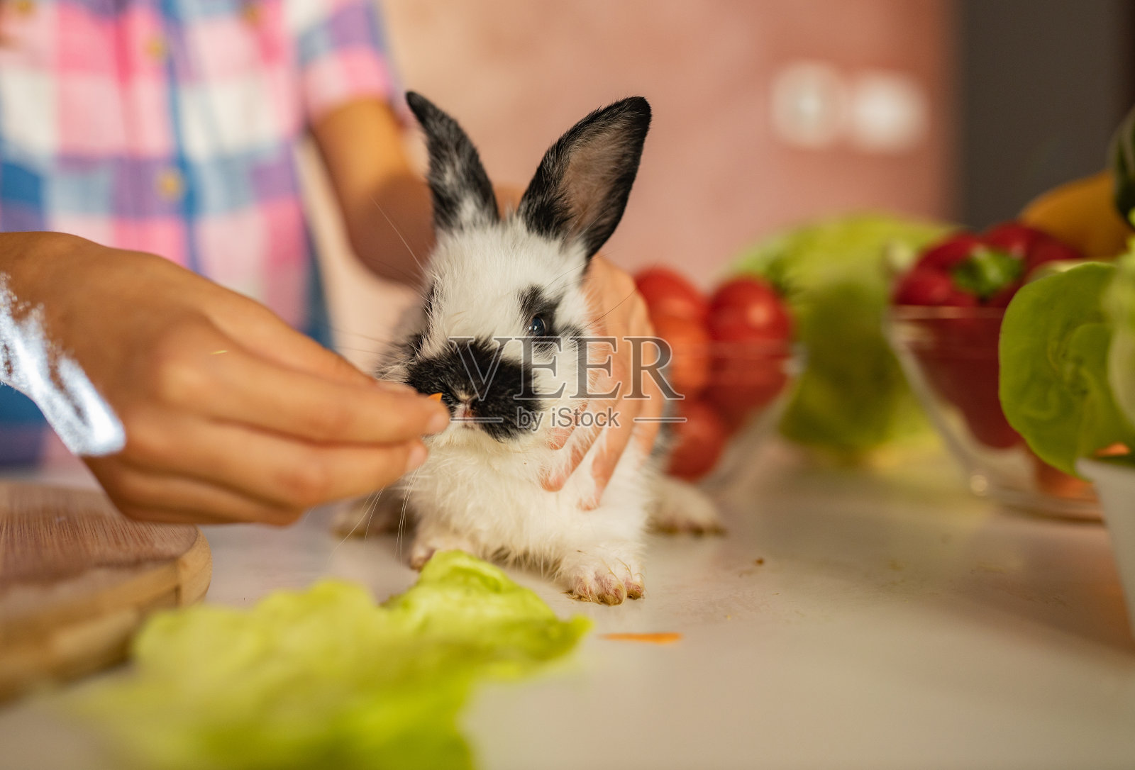 兔子在室内吃胡萝卜照片摄影图片