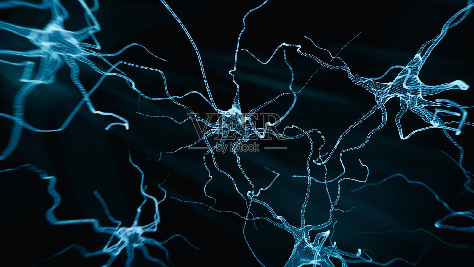 神经元系统全息图照片摄影图片