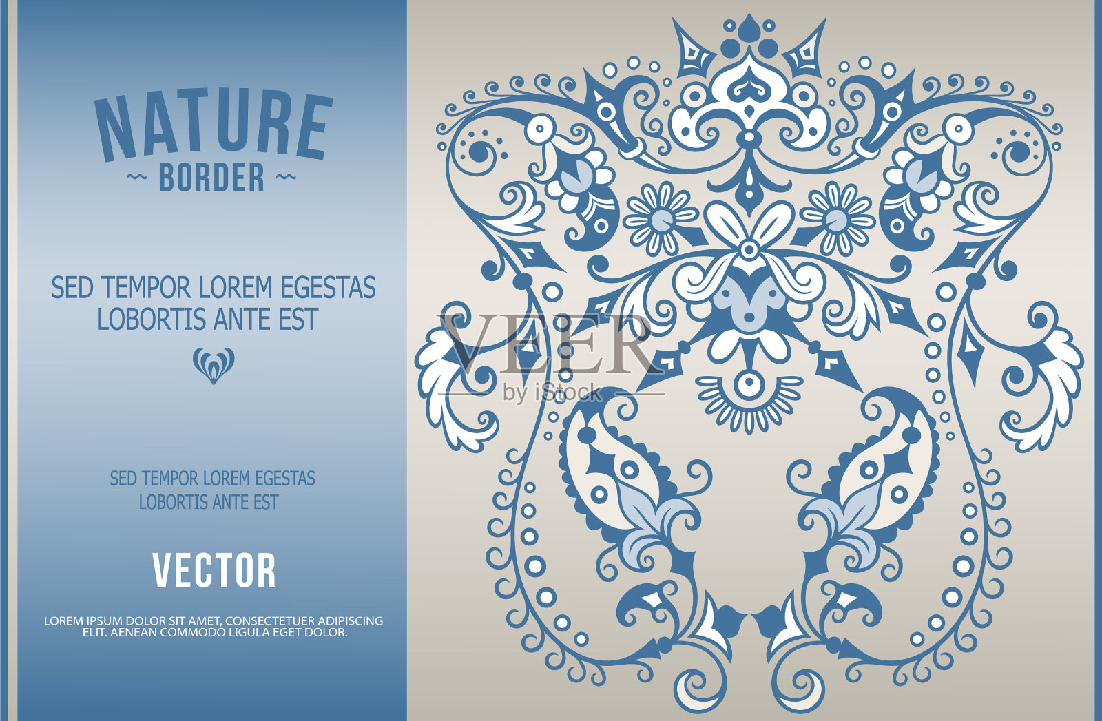 装饰性自然vintage border插画图片素材