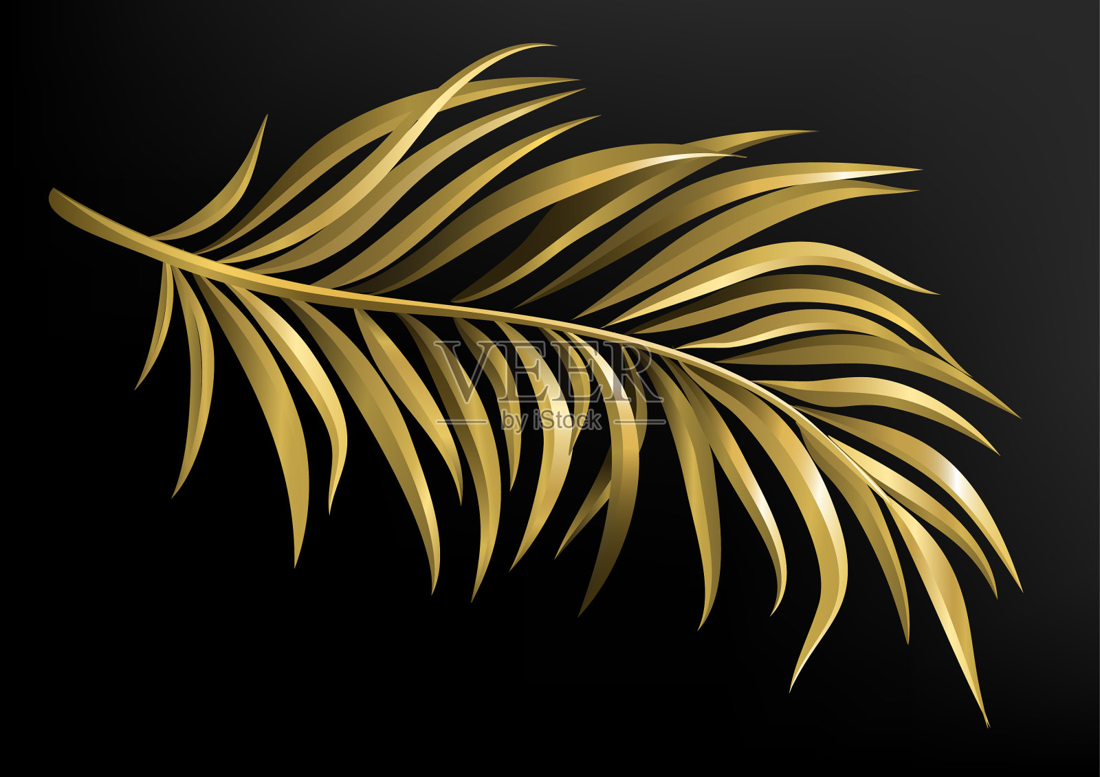 黑色背景上的金棕枝插画图片素材