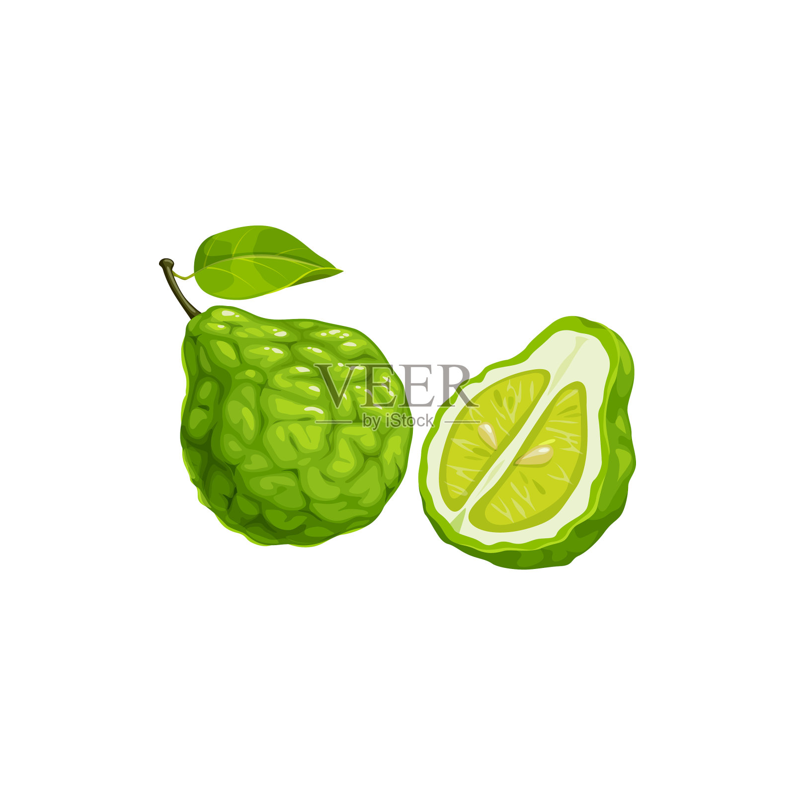 佛手柑属热带奇异水果设计元素图片